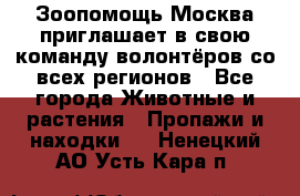 Зоопомощь.Москва приглашает в свою команду волонтёров со всех регионов - Все города Животные и растения » Пропажи и находки   . Ненецкий АО,Усть-Кара п.